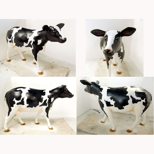 Heifer Black & White Heifer Black & White